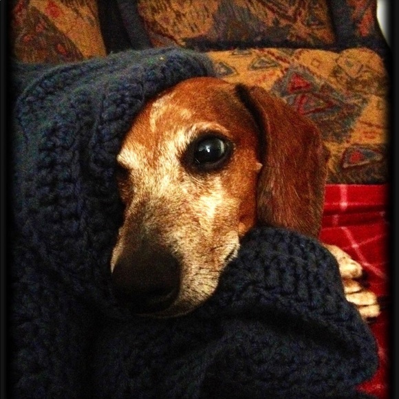 Meet your Posher, Katie - Picture 3 of 7